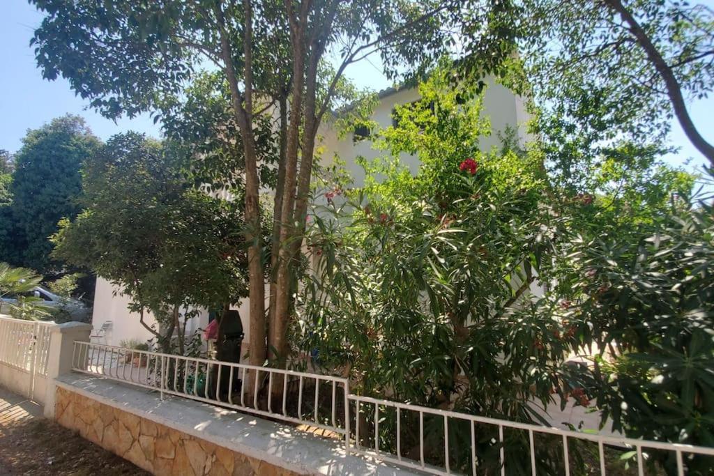 Casa Blanca, * Biograd Na Moru