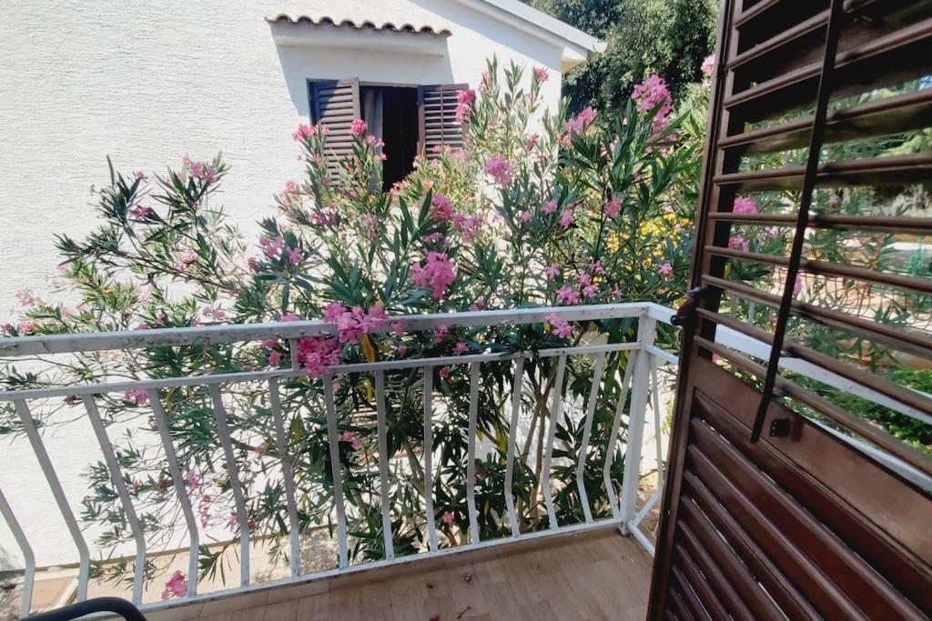 Appartamento Casa Blanca,