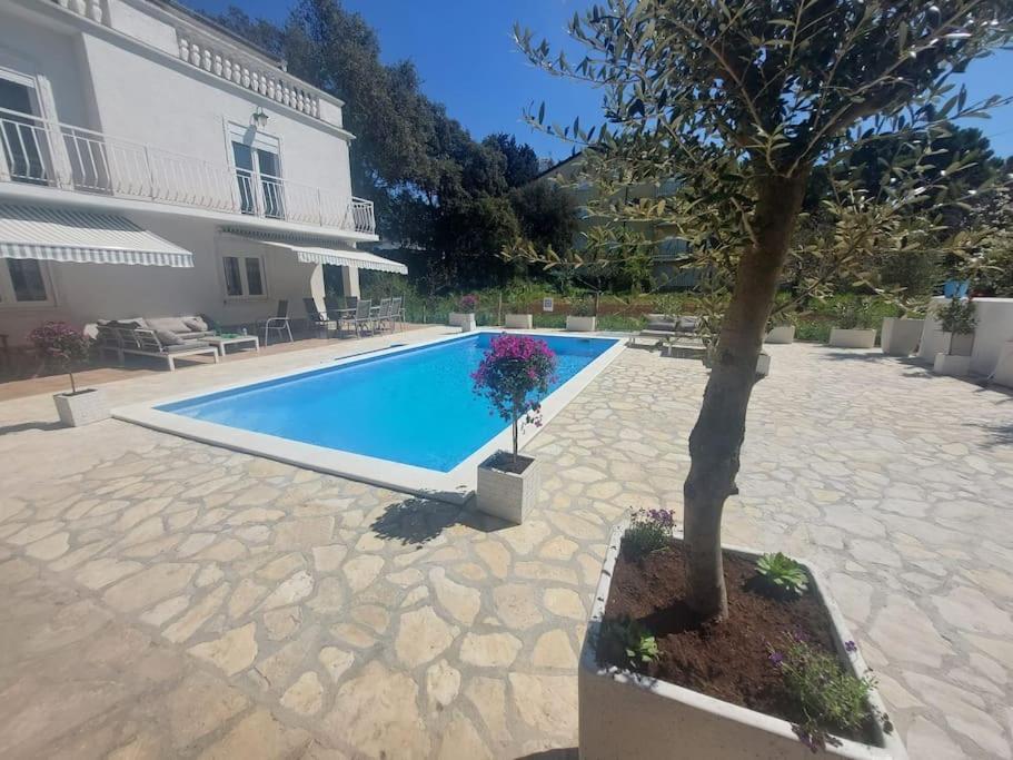 Casa Blanca, Apartma *